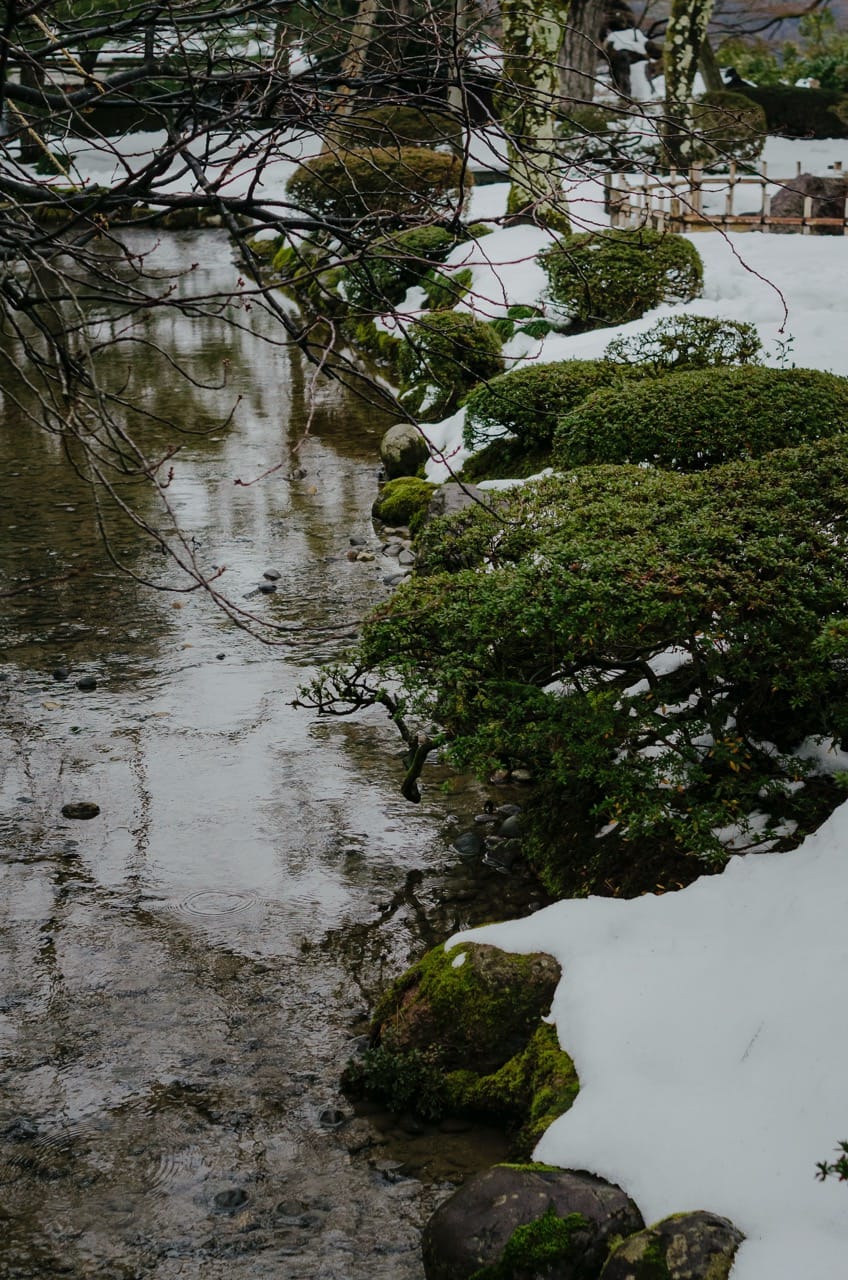 Превью Kanazawa 2024